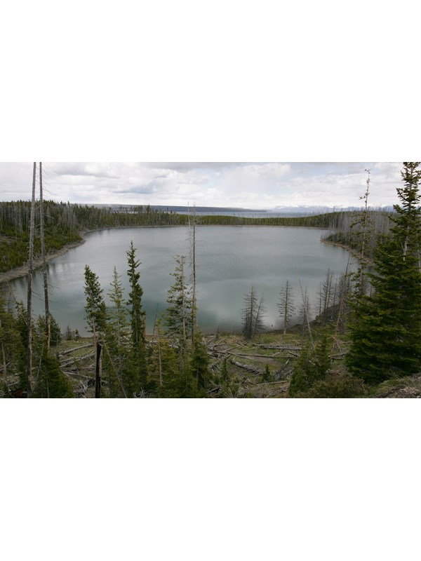 A small lake surrounded by conifer forest.