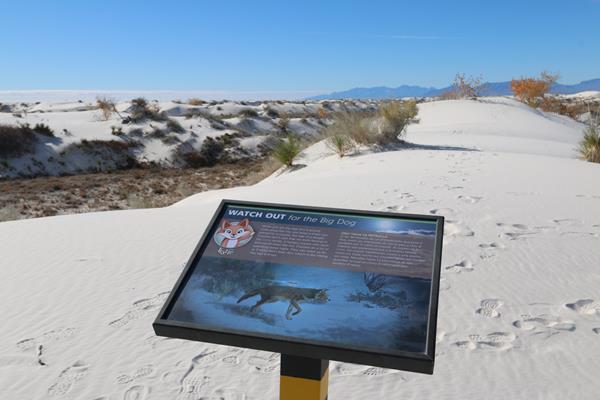 The "Watch Out for the Big Dog" interpretive sign at Dune Life Nature Trial.