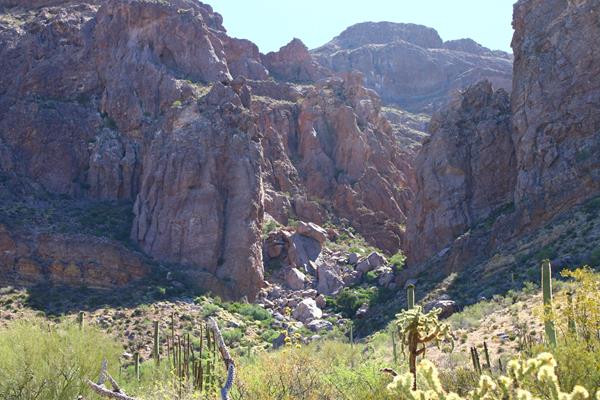 A rocky canyon filled with boulders and bright green Sonoran desert vegetation