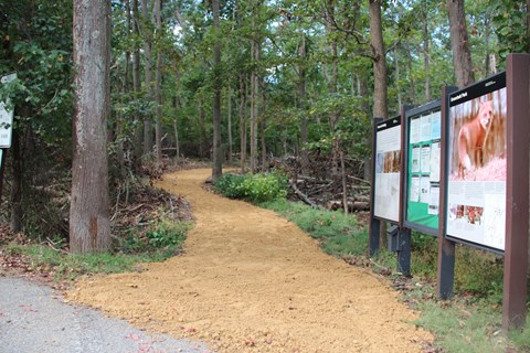 a trail in Greenbelt Park Maryland