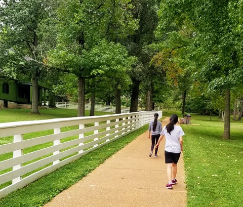 Two women walking on a stone path surrounded by trees