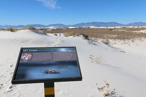 The "Get Down and Come Eat" interpretive sign at Dune Life Nature Trail.