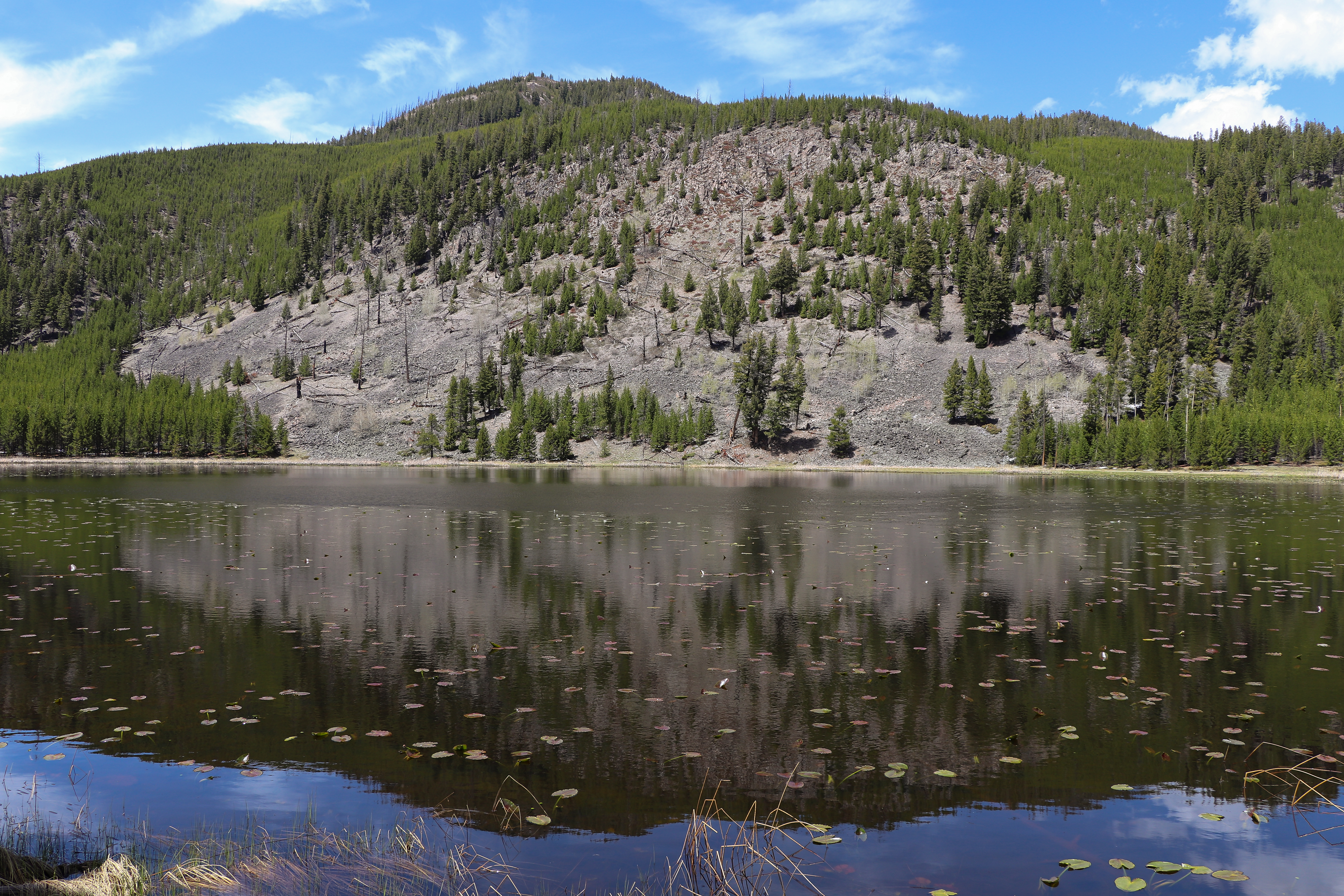 Lily pads dot a lake at the base of a slopping cliff.