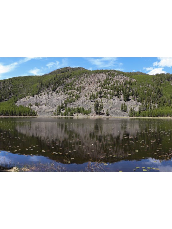 Lily pads dot a lake at the base of a slopping cliff.