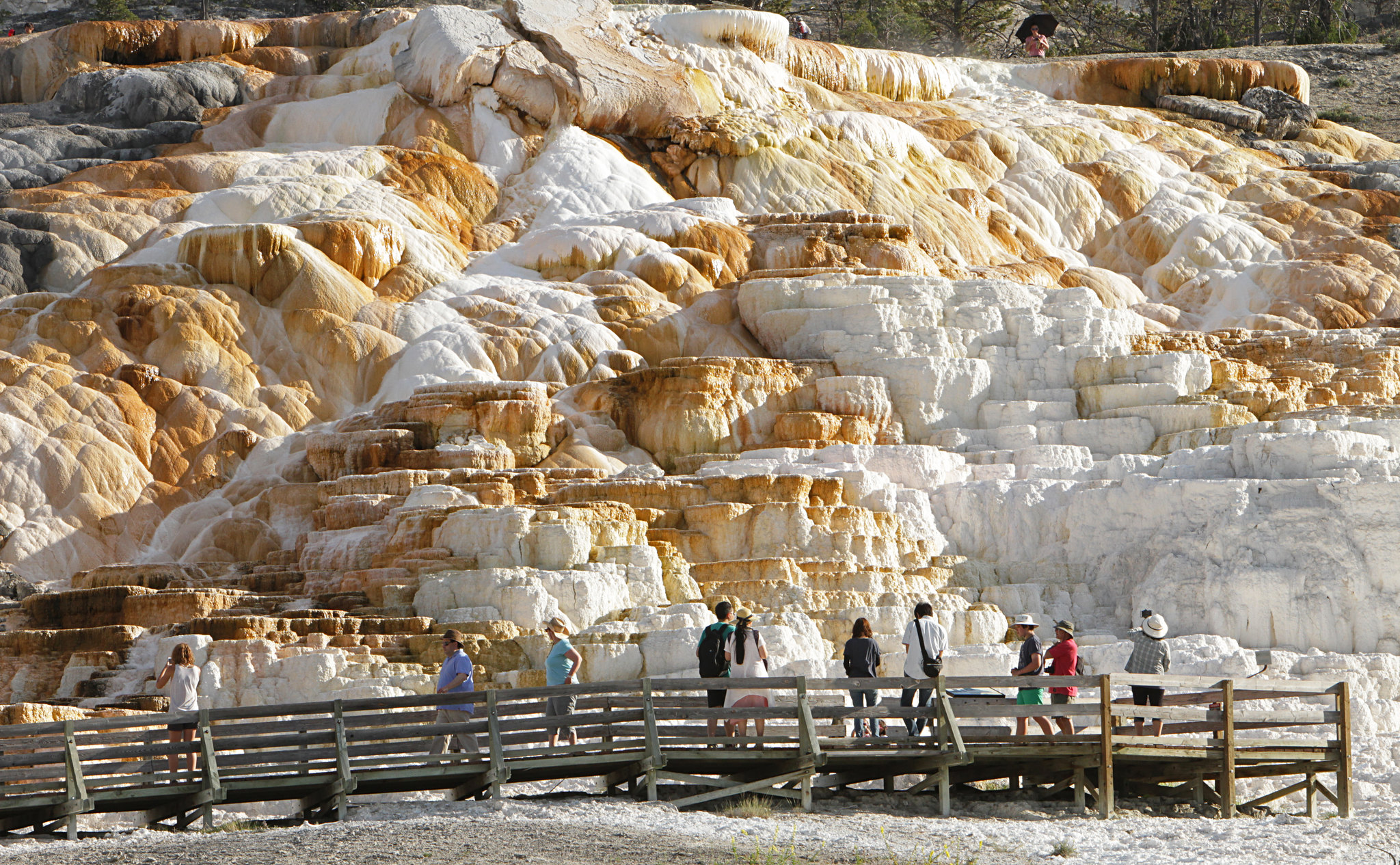 People stand on a boardwalk and admire a travertine terrace formation with water cascading down it.