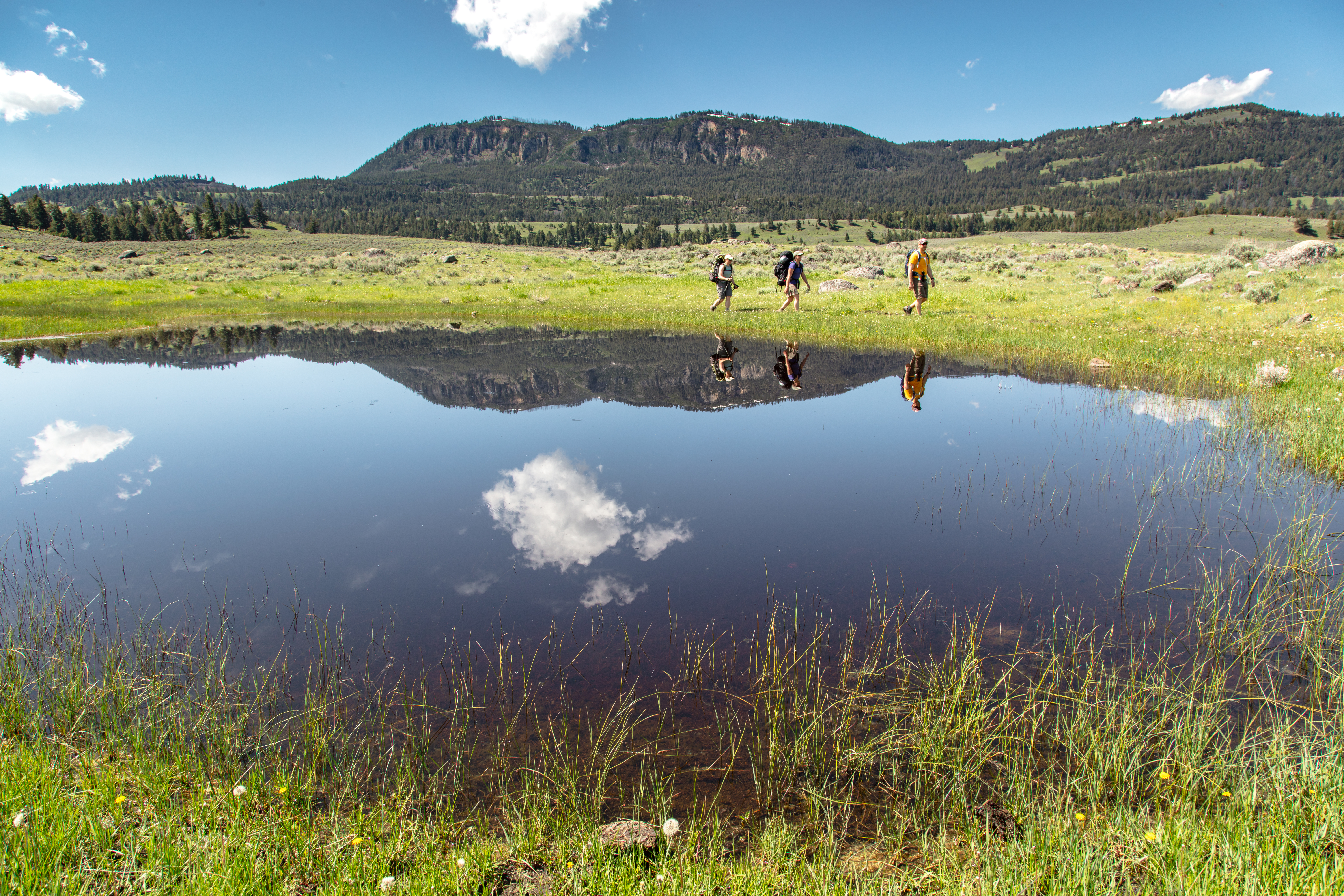 Three people hike past a pond in a meadow with a forested mountain in the distance.
