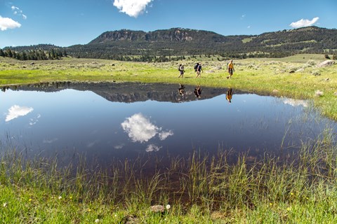 Three people hike past a pond in a meadow with a forested mountain in the distance.