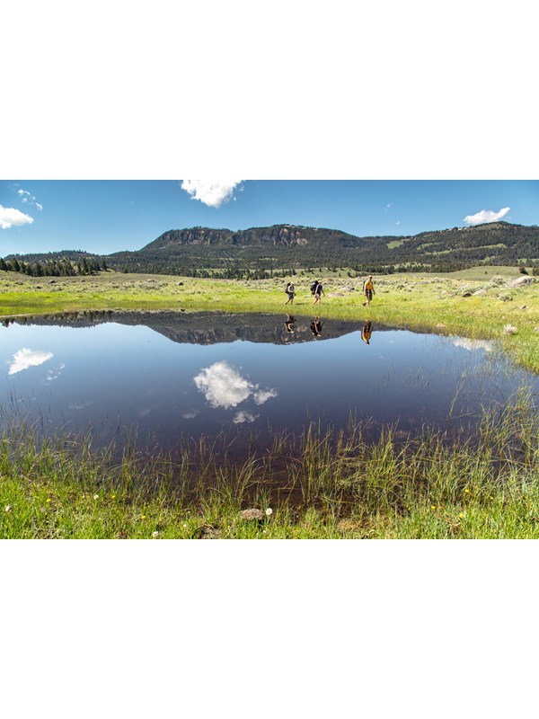 Three people hike past a pond in a meadow with a forested mountain in the distance.