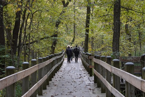 A ranger and visitor walking on a foot bridge.