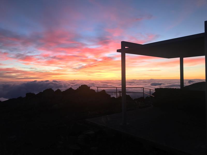 Enjoy the Sunrise