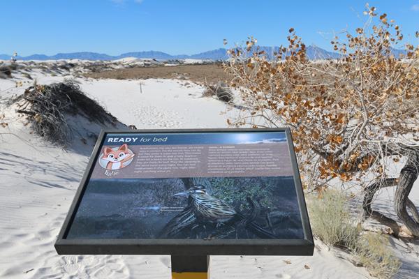 The "Ready for Bed" interpretive sign at Dune Life Nature Trail.