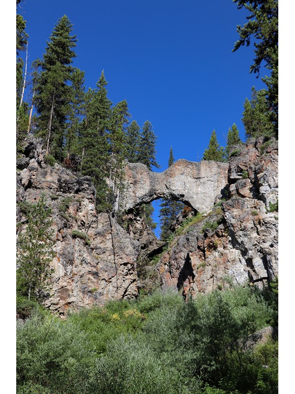 A natural bridge formation made of rock in a forest.