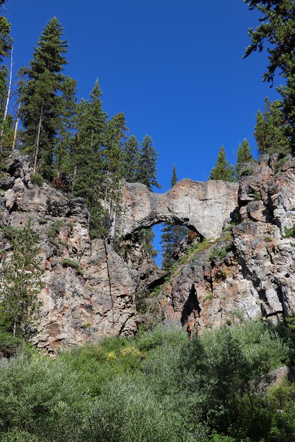 A natural bridge formation made of rock in a forest.