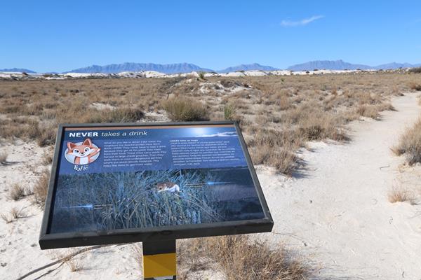 The "Never Takes a Drink" interpretive sign on Dune Life Nature Trail.