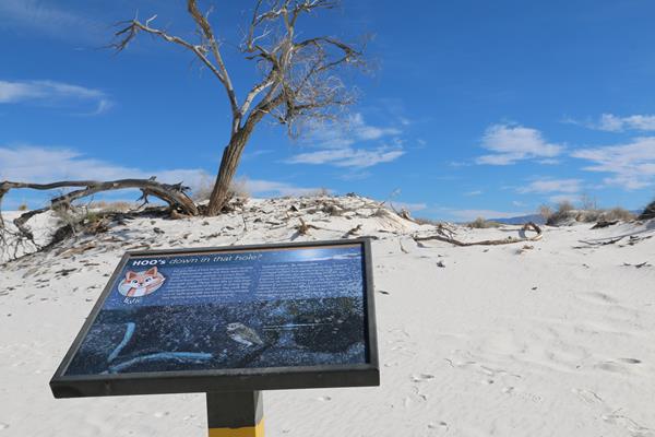 The "Hoo's Down in that Hole" interpretive sign at Dune Life Nature Trail.