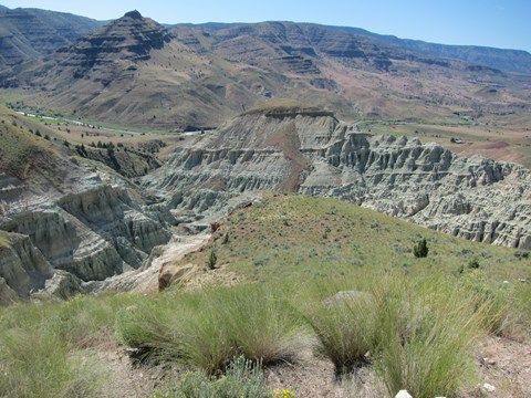 Blue-green rock formations sit in a valley surrounded by green grass and shrubs and brown mountains