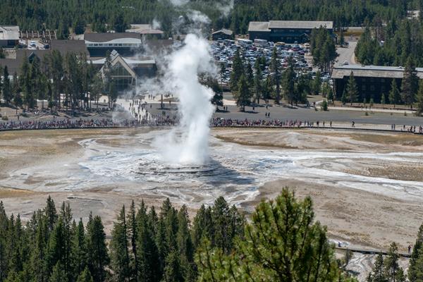 Water and steam erupt out of a geyser while people watch.