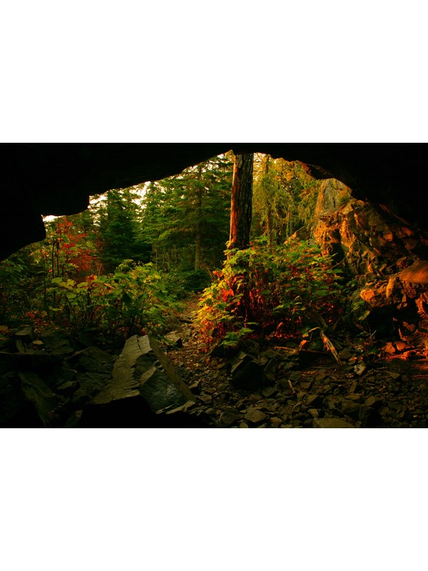 Looking out of Suzy’s Cave sunlight falls on vegetation.