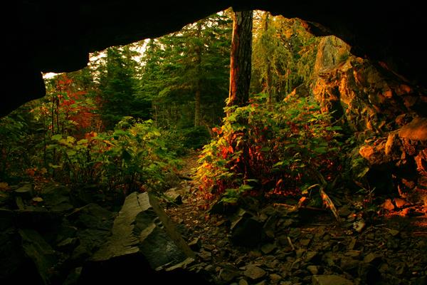 Looking out of Suzy’s Cave sunlight falls on vegetation.