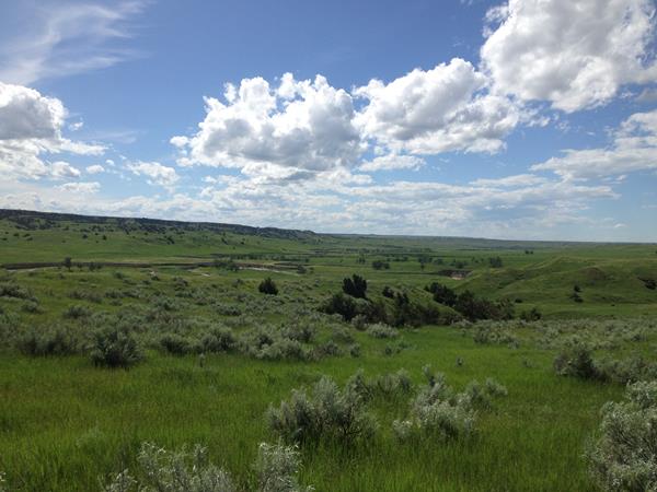a green rolling prairie melts into a pale blue, cloudy sky.