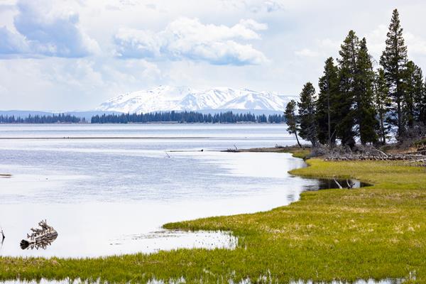 A creek spills into a large lake with mountains in the distance.