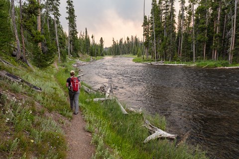 A hiker follows a trail alongside a river through a forest.