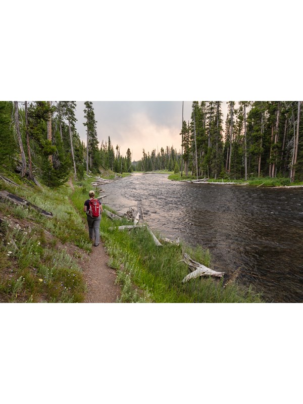 A hiker follows a trail alongside a river through a forest.