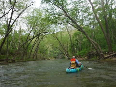 A floater paddles on the river with trees overhead