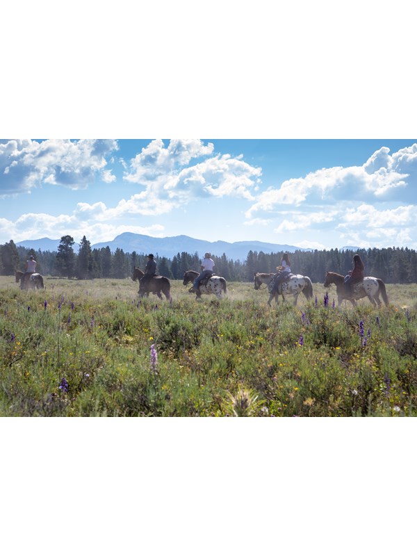 People on horseback ride through a field of sagebrush with mountains in the distance.