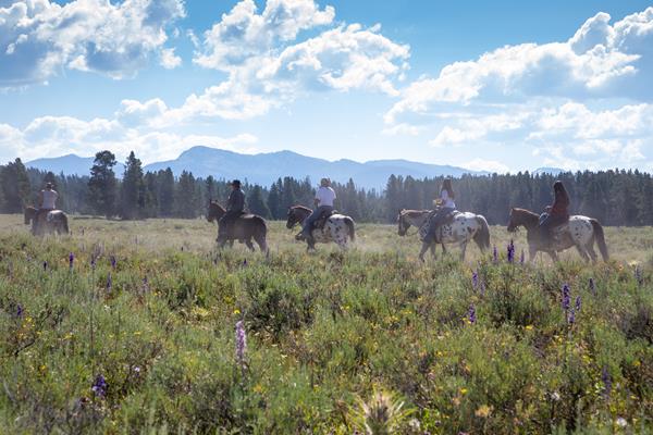People on horseback ride through a field of sagebrush with mountains in the distance.