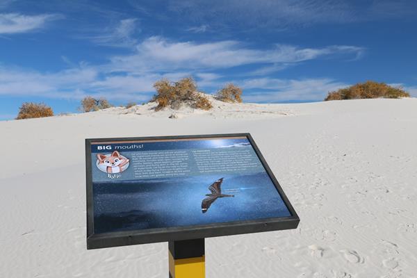 The "Big Mouths!" interpretive sign at Dune Life Nature Trail.