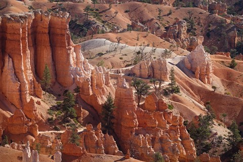 An overhead shot of a landscape with irregular red rock formations
