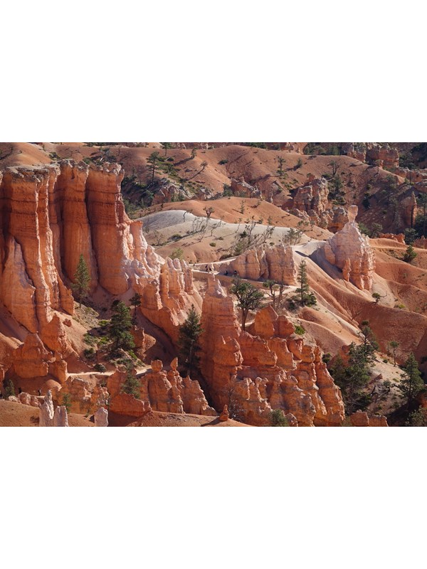An overhead shot of a landscape with irregular red rock formations