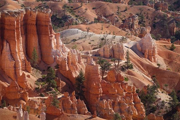 An overhead shot of a landscape with irregular red rock formations