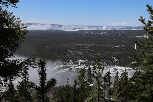Steam from geyser basins dot a forested landscape as viewed from a mountain summit.