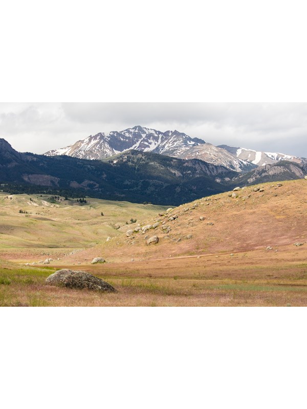 A rocky mountain peak emerges behind rolling, grassy hills.