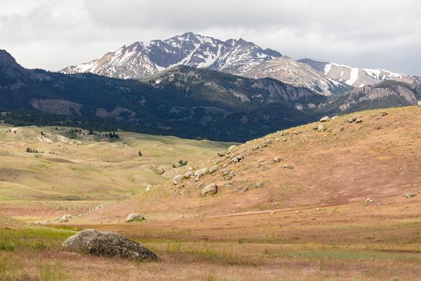 A rocky mountain peak emerges behind rolling, grassy hills.