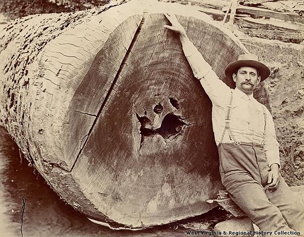 A man dressed in turn of the century clothes leaning against a felled large old tree trunk