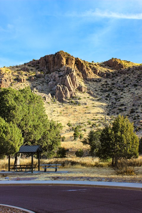trees and grass in front of a mountain