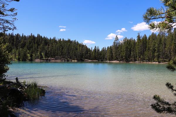 A turquoise blue lake surrounded by a forest.