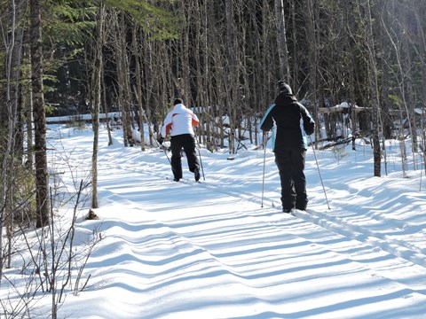 Two cross country skiers on a trail through the forest.