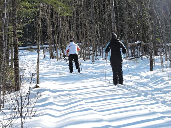 Two cross country skiers on a trail through the forest.