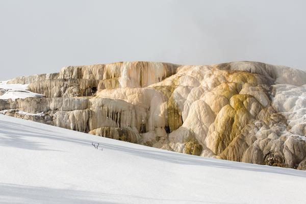 A series of ledges stained shades of pink, yellow, and brown from hydrothermal water.