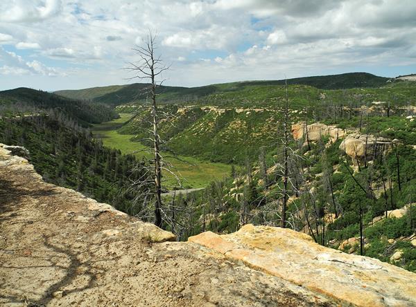 Looking down at a broad view of a green canyon below a ridge.
