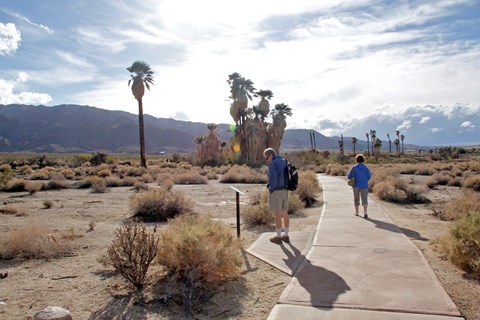 Two people on a paved trail heading towards a clump of fan palms with mountains in the distance.