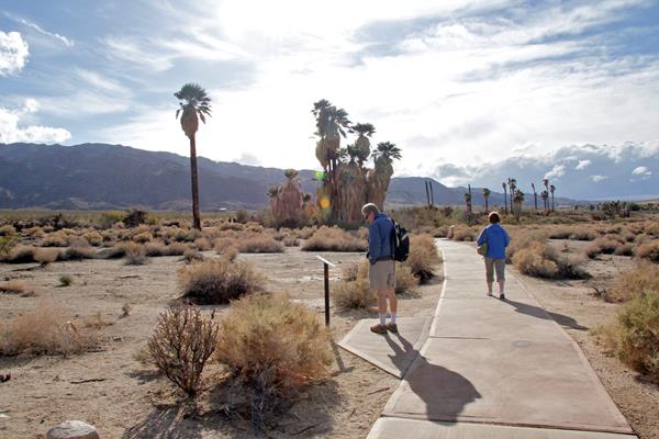 Two people on a paved trail heading towards a clump of fan palms with mountains in the distance.
