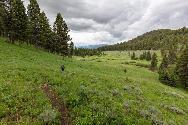 A person hikes through a meadow in between two forested hillsides.