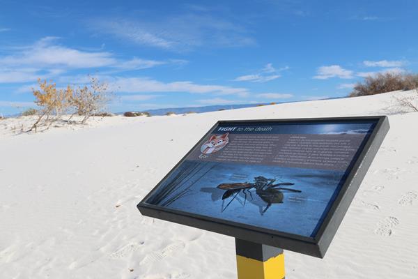 The "Fight to the Death" interpretive sign at Dune Life Nature Trail.