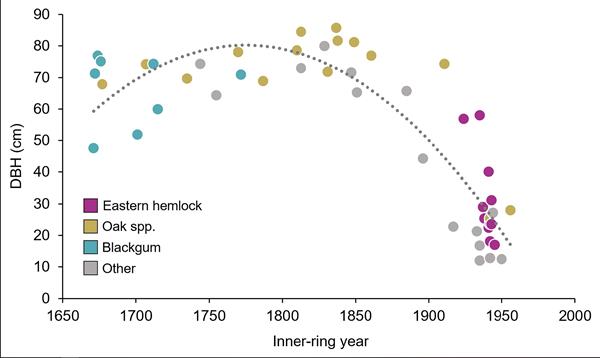 A graph of almost 50 different tree inner-ring size by their age in years from 1650 to 2000