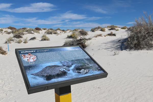The "Hungry Enough?" interpretive sign at Dune Life Nature Trail.